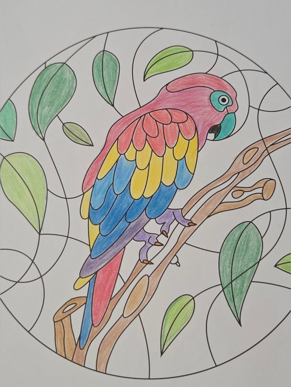 Hand-Colored Parrot Illustration Art Print - Multicolor